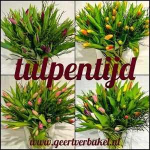 tulpenboeket incl vaas , het voorjaar in huis , gemengde , rode ,roze ,geel , met bosbes