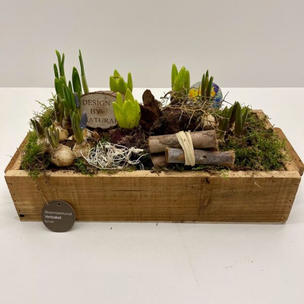 houten kist vol met gemengde bolletjes , voorjaar , gezellig ,inside , outside