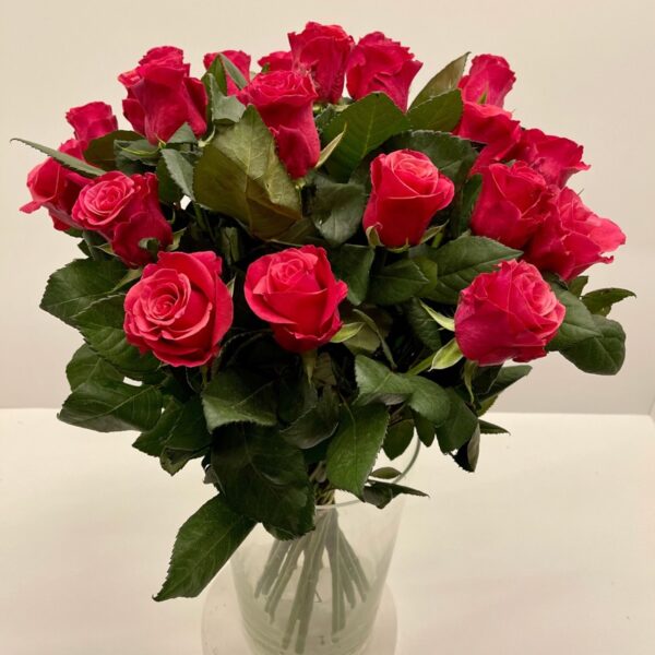 Rozen