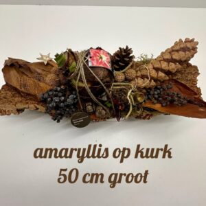 grote amaryllis op kurk 50 cm en decoratie