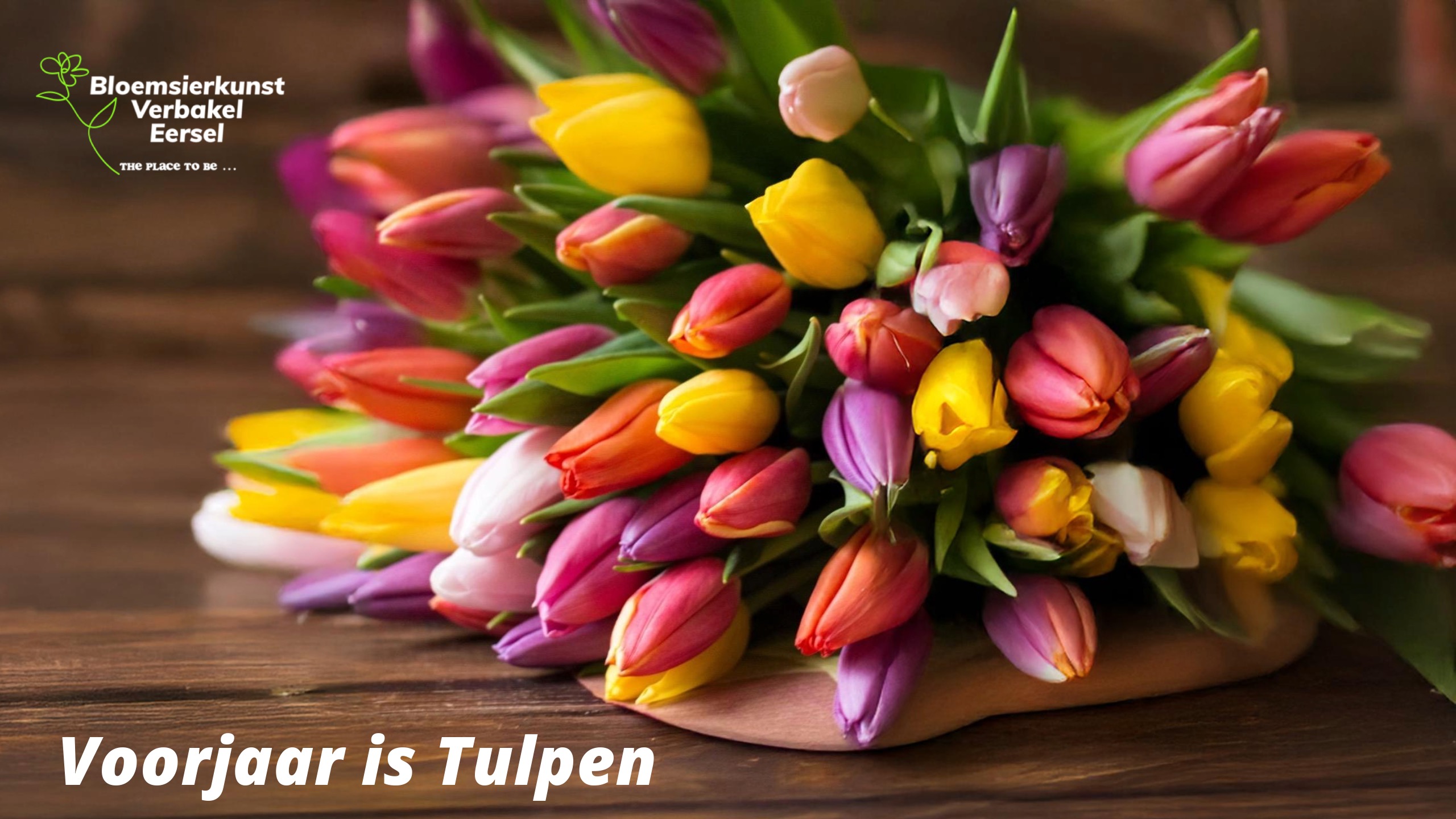 tulpen