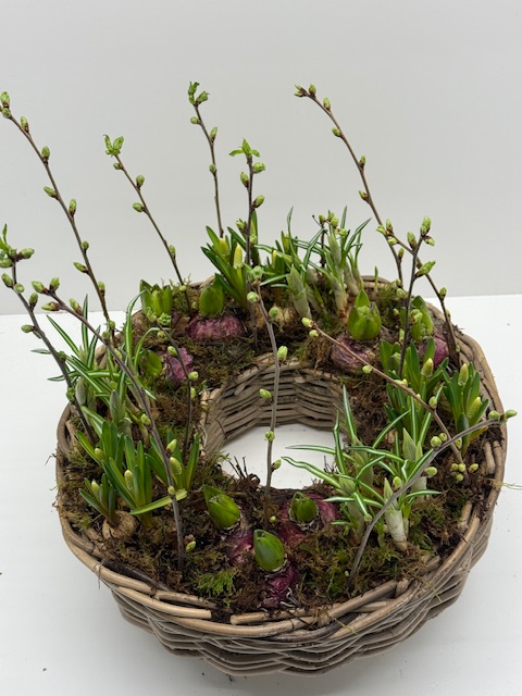 Voorjaarstuintje groot