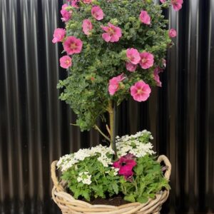 Mand hoog met diverse zomer bloeiers