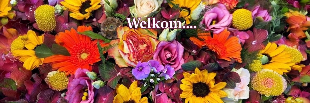 Naamloos-924 Naamloos-924